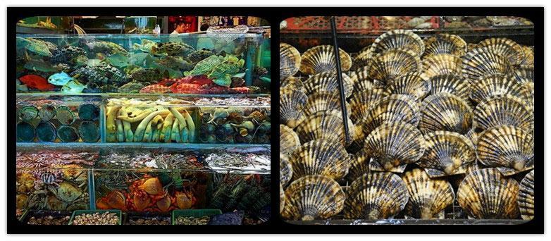 西贡海鲜大排档 香港人最爱的吃海鲜地