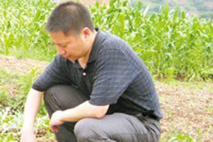 重庆巫山一名镇党委书记骚扰女同事被免职