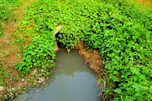 工厂污水直排二级水源保护地