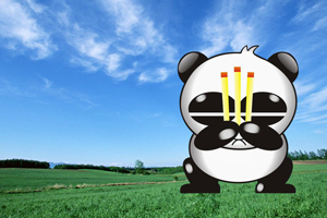 熊猫云杀毒官方_熊猫免费云杀毒怎么样_熊猫云杀毒软件