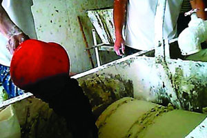 《一夜惊喜》首映 范冰冰吻导演胸部赞