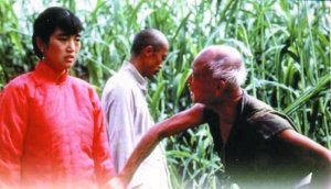 剧版《红高粱》编剧：郑晓龙钦点周迅演九儿