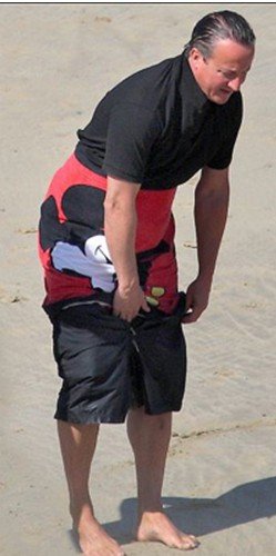 卡梅伦<em>沙滩</em>上换<em>短裤</em> 裸上身被称红色大卫(图