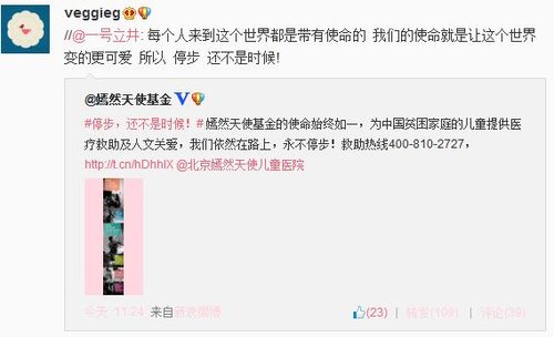 王菲李亚鹏离婚后仍支持嫣然基金：永不停步