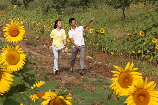 《老家》主角情路坎坷 观众高呼在一起