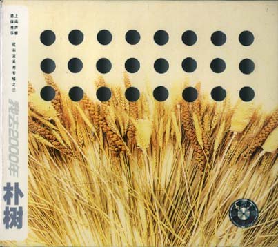 朴树的音乐旅途 在成长的道路上躲避时光