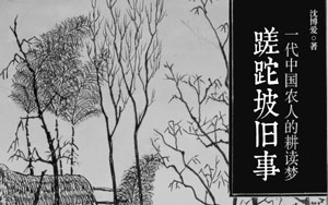杨澜：女主播的一天