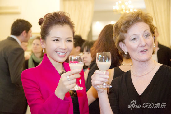 刘涛获爱尔兰驻华大使接见 畅聊艺术话题