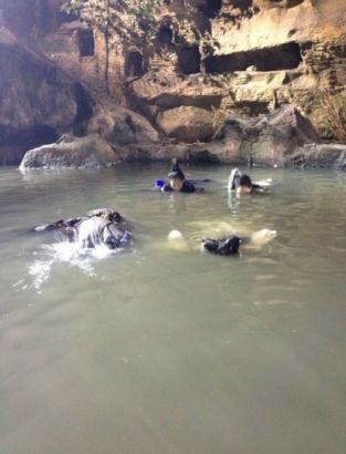 陈妍希拍落水戏 陈晓头套脱落遭嘲笑(图)