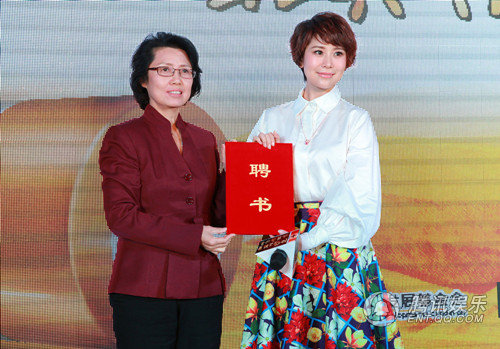 海清亮相公益活动 尽显冬日知性暖女魅力(图)