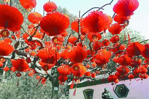 春节出游 “涨”声一片