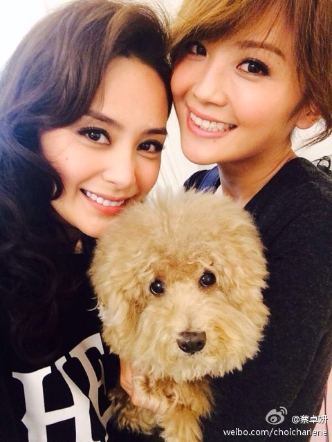 刘诗诗叶青杨幂唐嫣 盘点娱乐圈“恩爱”闺蜜照