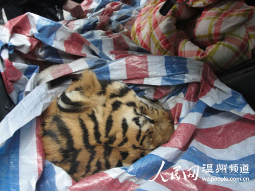 杨幂刘恺威大婚首现身 桃红高跟鞋喜庆