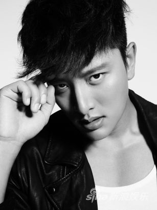 贾乃亮2013：收视男神用实力证明价值