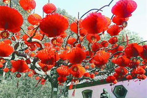 春节省内游“亲子”产品最热