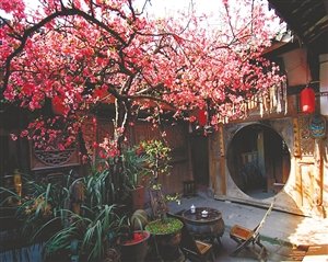 阆中古城的花漾年华