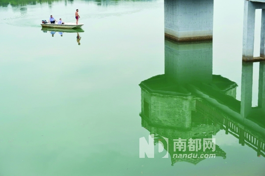 红花湖水库图片