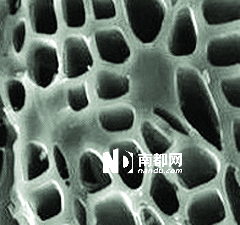 活性炭的选购和使用也是门技术活_广州