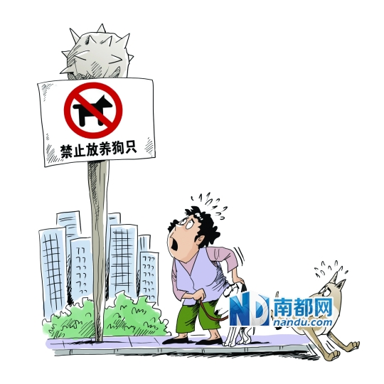 居委会 禁止遛狗居民质疑合理性