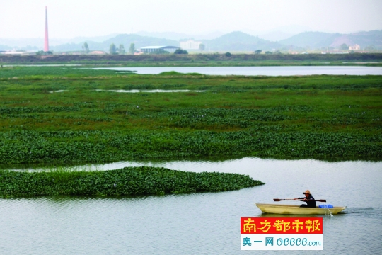 潼湖生态智慧区以潼湖湿地为中心,规划面积约128平方公里.