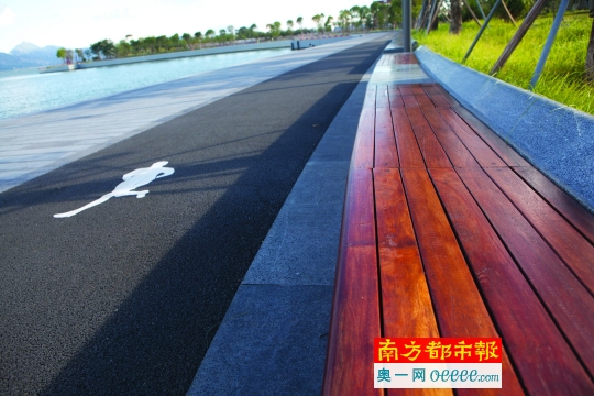 绿色生态长廊贯穿深圳湾 16公里滨海栈道步步