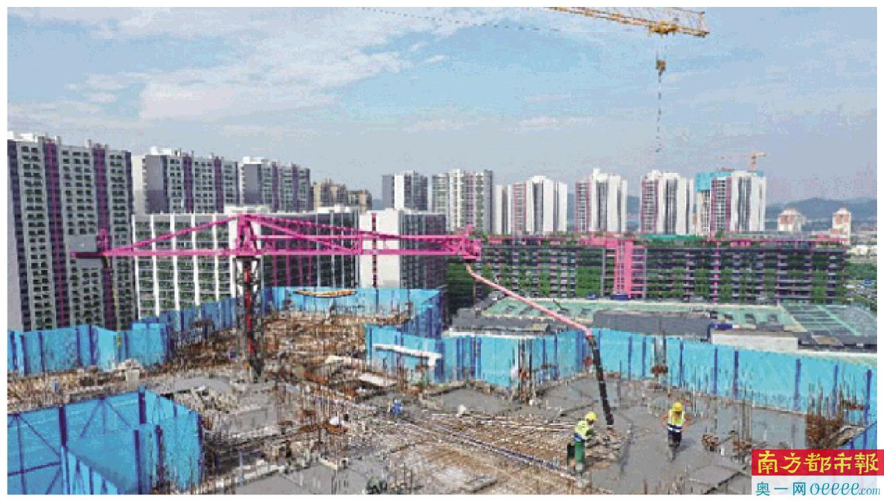 智能随动式布料机作业现场。