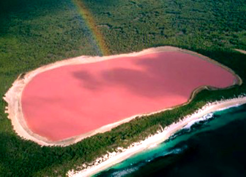 还记得那句伤感的歌词是"让我们忘了那片海,让我们来世再重来"可是