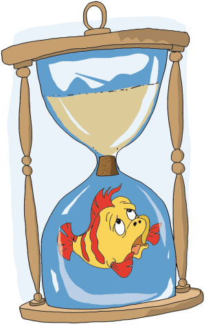 泅渡在时光里的鱼