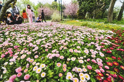 浙江杭州西溪花朝節正式啟幕(圖)